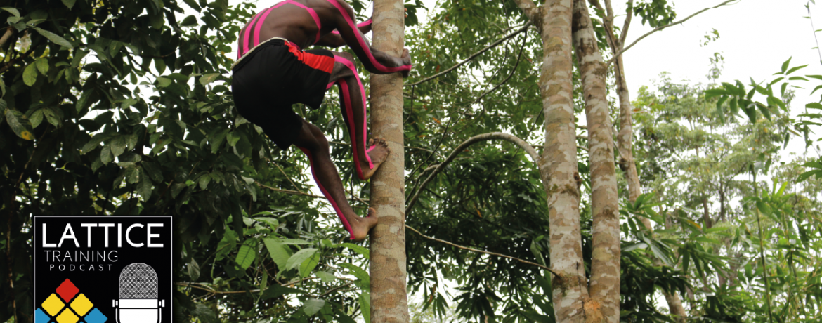 Batek tree-climber in action