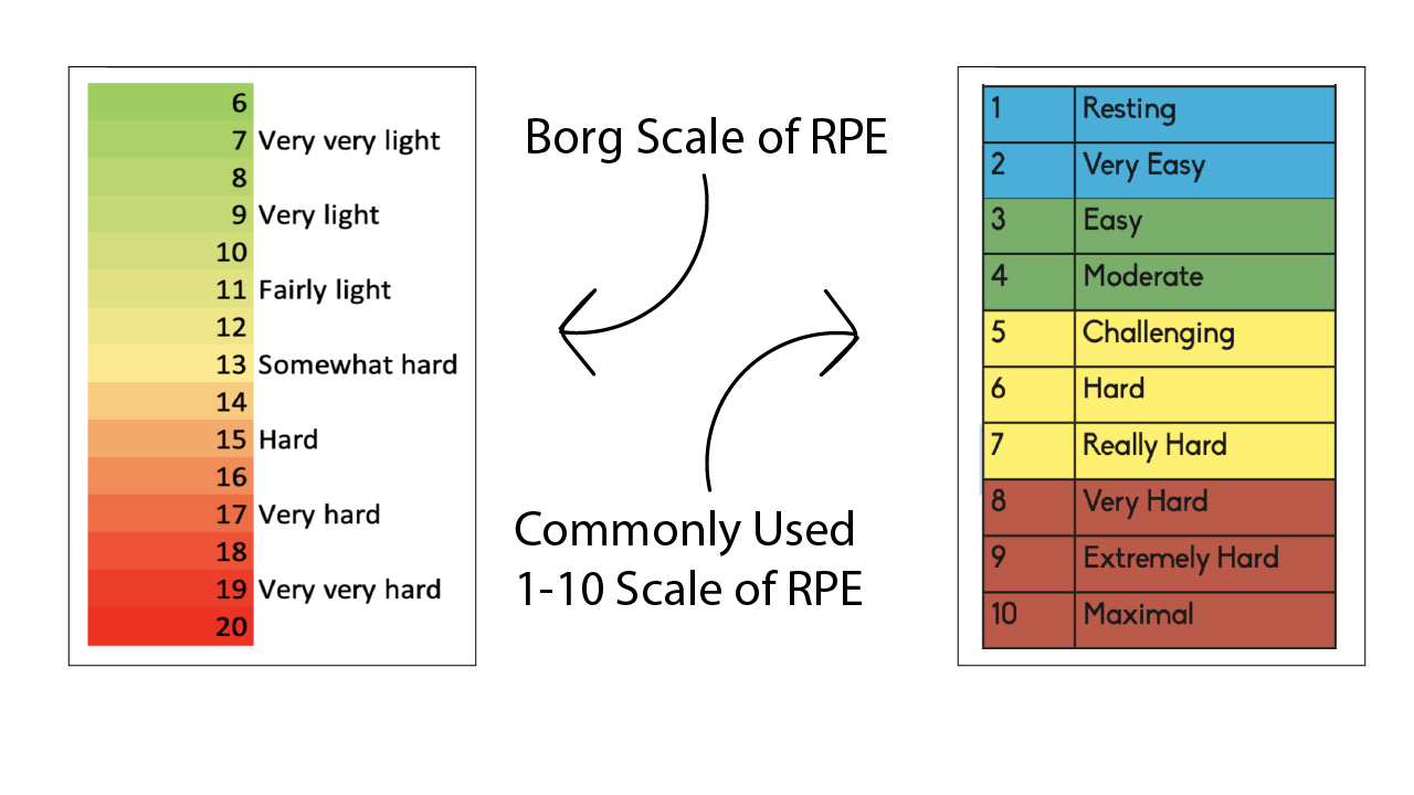 2 different versions of the rate of perceived exertion scale