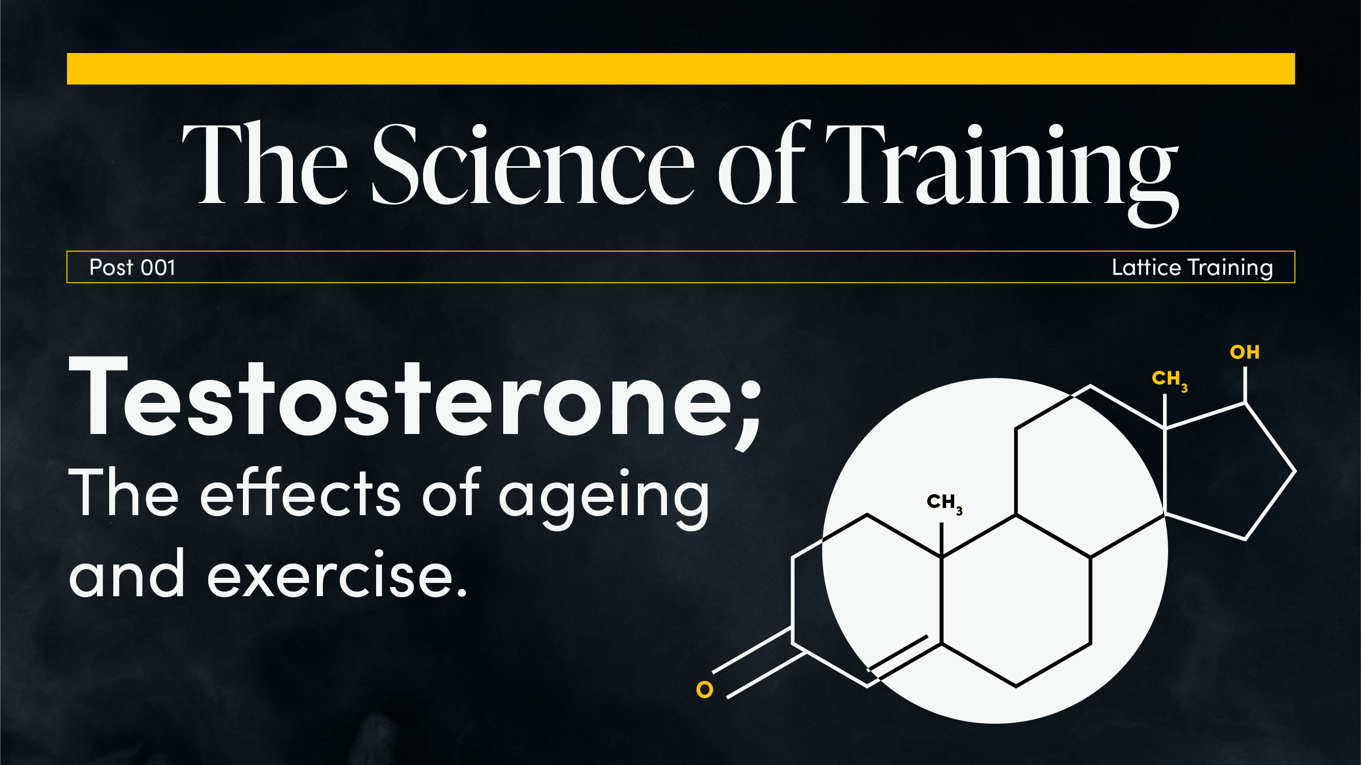 The Science of Training: Testosterone