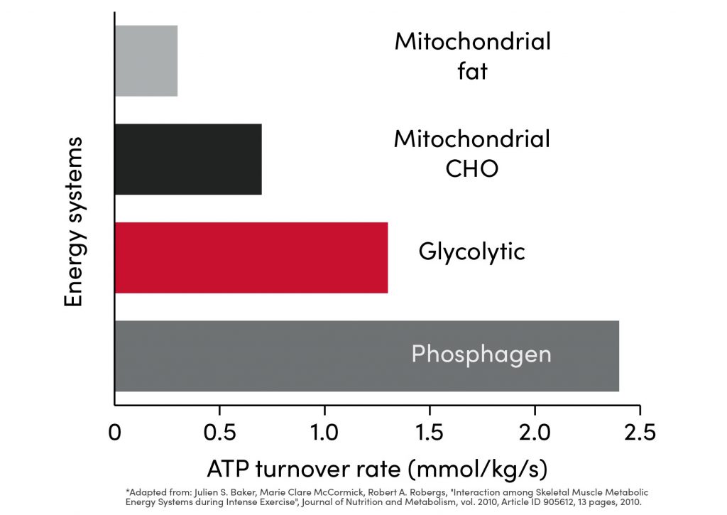 Training Energy Systems: ATP Turnover rate 