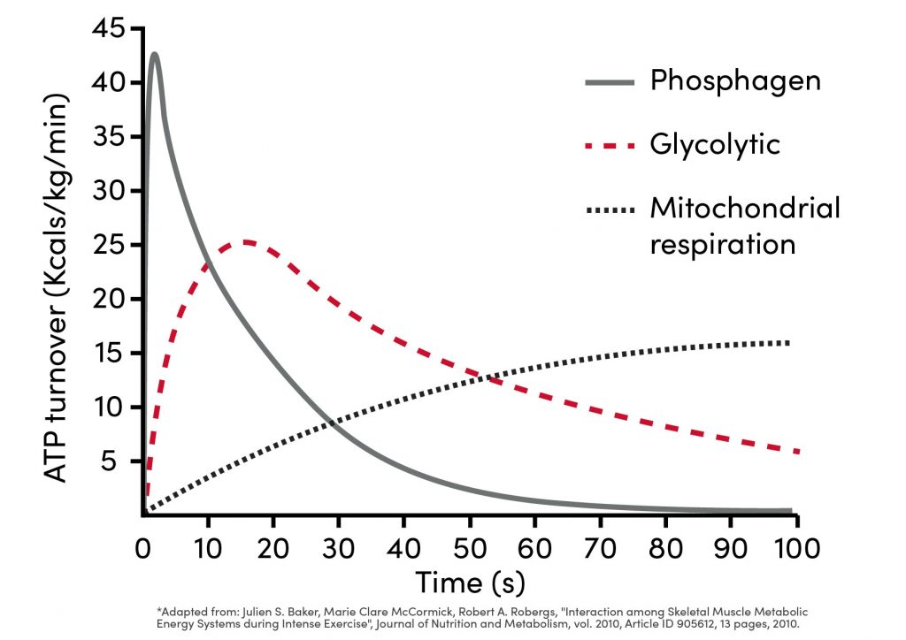 Training Energy Systems: Time distribution of energy systems