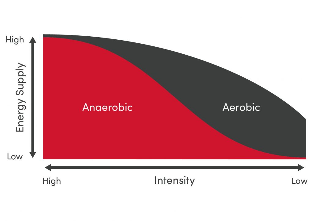 Training Energy Systems: Relative contribuition related to intensity 