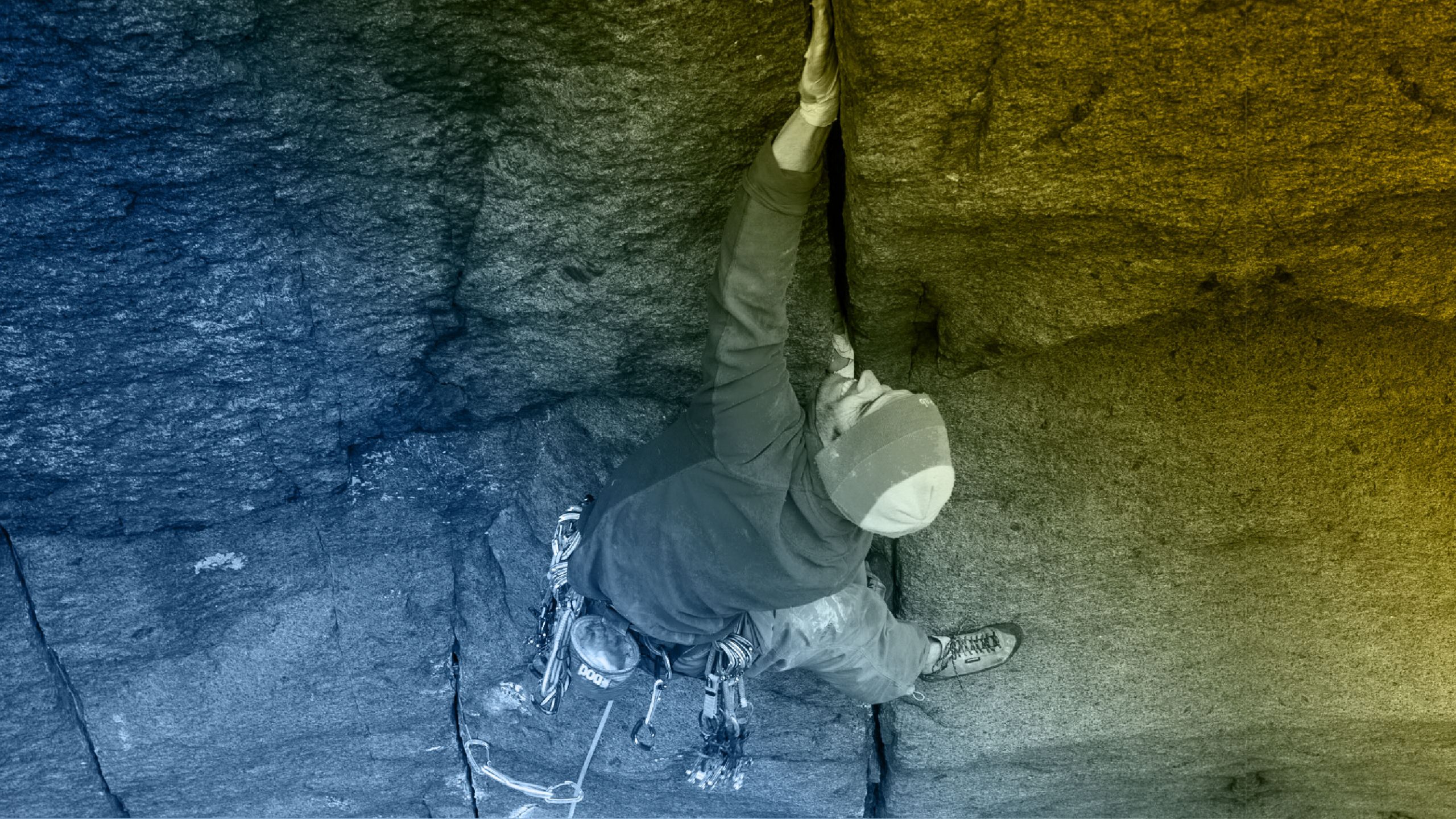 This or That? Circuit boards vs Roped Climbing