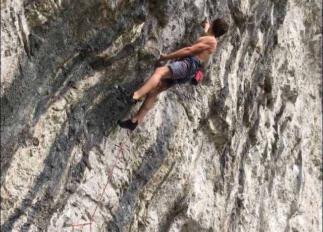 Interview: Will Bosi