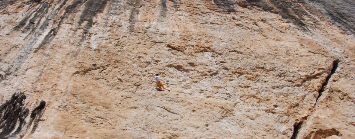 Interview: Lucy Mitchell on Fish Eye, 8c