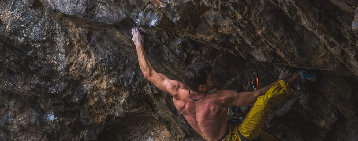 Ollie’s Top 5 Lessons Learned About Training