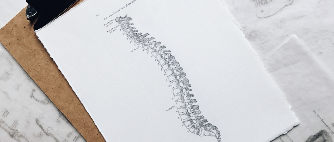 Female Climber Series: Bone Health